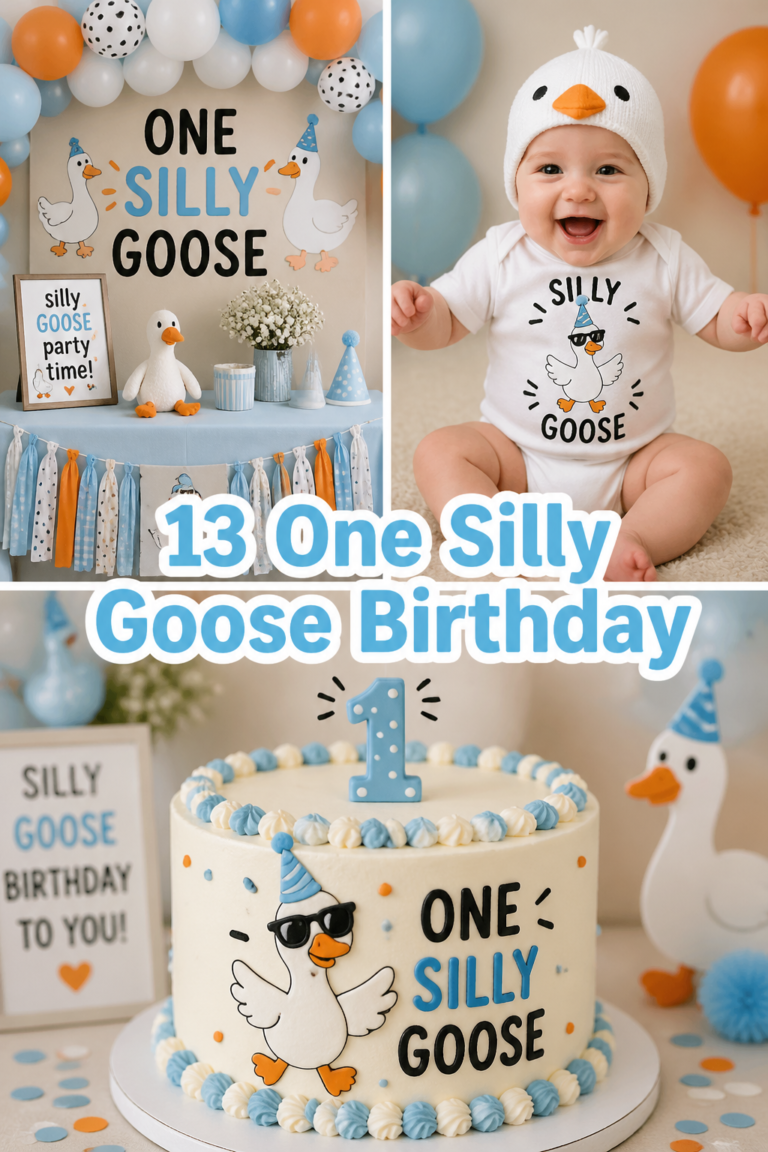 🦆 13 One Silly Goose Birthday